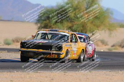 media/Oct-15-2023-Lucky Dog Racing Chuckwalla (Sun) [[f659570f60]]/4th Stint Turn 4 Tree of Life/